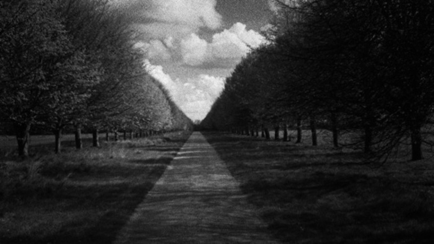 NYFF 2011: Patience (After Sebald) Review